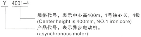 西安泰富西玛Y系列(H355-1000)高压YR5601-6三相异步电机型号说明