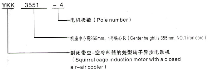 YKK系列(H355-1000)高压YR5601-6三相异步电机西安泰富西玛电机型号说明